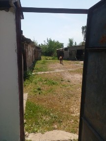 Уй сотилади срочно Ташкент вилояти, Бука тумани Бустон мфй Марказий к