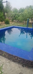 Parkent tumanida 6 sotixli dachа uy nilufarda нилуфар