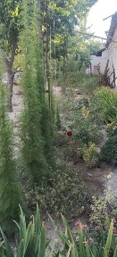 Sirocni 3 xonali uy sotiladi
