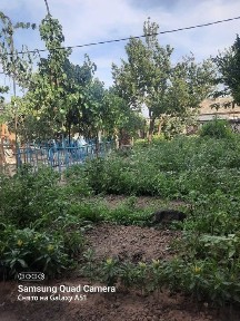 Азадбашда уй сотилади махалла богча мактаб поликлиника масчитякин
