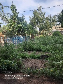 Азадбашда уй сотилади махалла богча мактаб поликлиника масчитякин