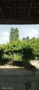 Fayzli uy sotilmoqda