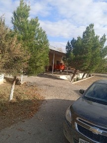 Tayyor dala hovli