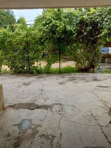 Xovli sotiladi 8xona