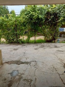 Xovli sotiladi 8xona