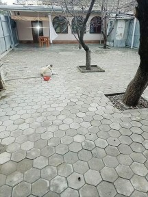 На смски не отвечаю звоните пожалуйста
