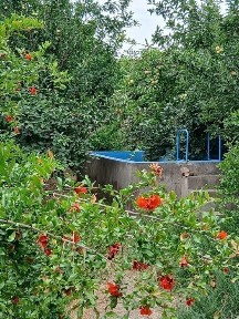 Продаётся дом в центре Кибрай