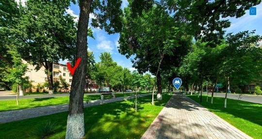 Продам свою (! ) 3-х комнатную квартиру (ни где нибудь. ) на Ц-1! 3/4/4