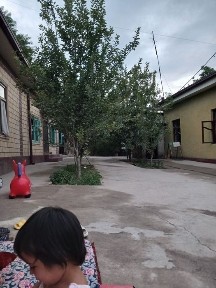 Hovli uy sotiladi срочно