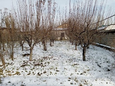 Bektemir tumanida 5 sotokli uchastka sotiladi.