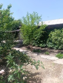 Uy sotiladi Tashkent viloyati orta chirchiq