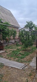 Продаю дачу в Паркентском р-не