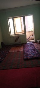 Arzon arenda student qizlarga