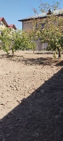 Ташкентская область, Ташкент, Чиланзарский район