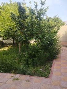 Tayyor kottej uyi - Nurota tumanida, barcha sharoitlar bilan!