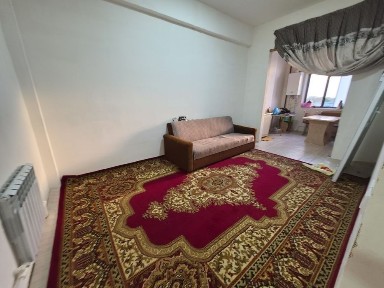 Yangi karzinka oldida