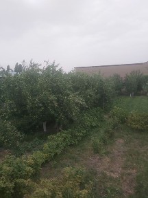 Продаётся участок. Барданкуль.