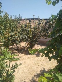 Продается дом с участком от собственника