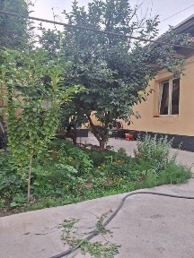 Ташкентская область, Ташкент, Бектемирский район