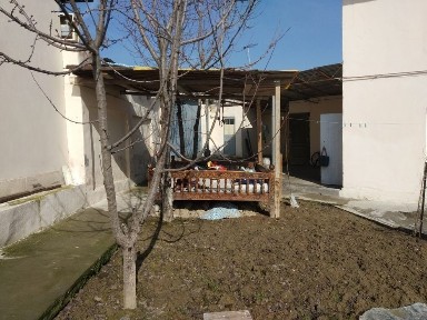 Ташкентская область, Зангиата
