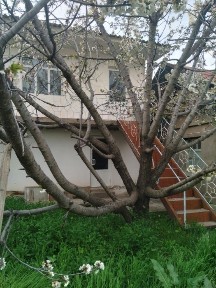Xovli uy sotiladi