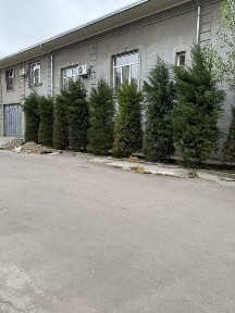 Продается дом в Назарбек Харакат