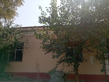 Kotej Hovli (Orienter Solnichniy)