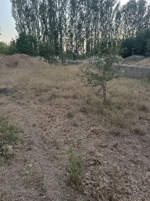 Uchastka sotiladi
