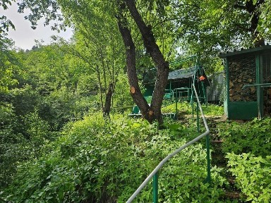 Ташкентская область, Большой Чимган