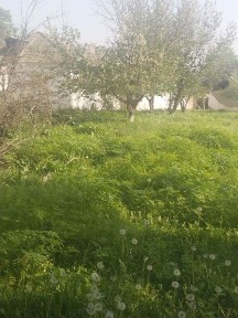 Уй жой сотилади 65000$ келишамиз