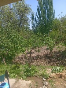Бустонликда Уй сотилади тог ён багрида жойлашган ёки ерни ярми 110 000