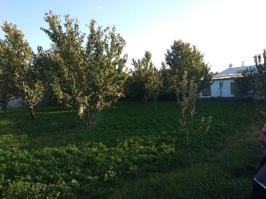 Участок Назарбек 13соток кадастр есть, сотка 9000$ газ свет вода.