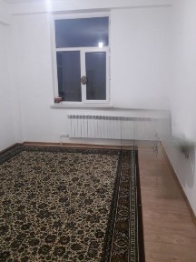 Ташкентская область, Нурафшан (Тойтепа)