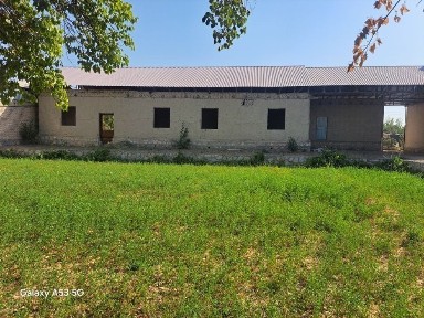 Бухарская область, Бухара