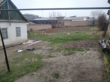 Ташкентская область, Янгиюль