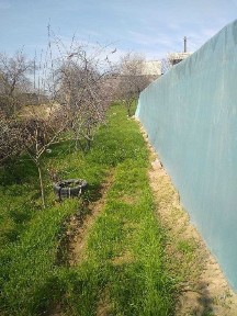 Ховли дача сотилади