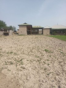 Ташкентская область, Ташморе