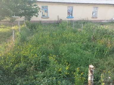 Uy sotiladi ! Toshkent viloyati Chinoz tumani Eshonobod MYF da