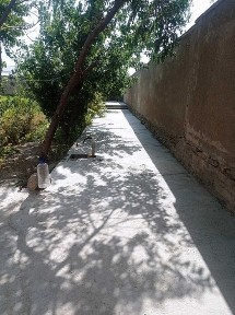 Hovli sotiladi 10 sotix