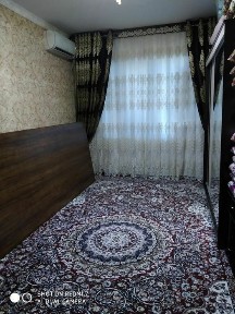 Прадам 2/4/5 кота кани