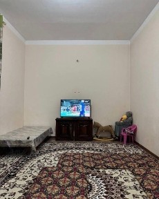 Sanat kollejni orqasidan 3 xonali xovli ijaraga beriladi