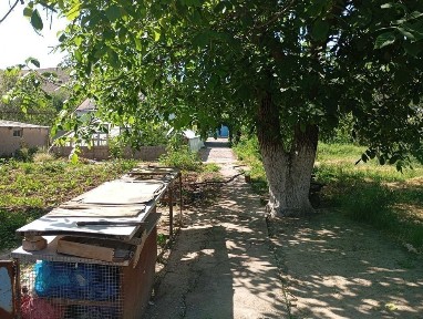 Hovli uchaska Toshkent vil. Bustonliq tum.Dumaloq qishlogi