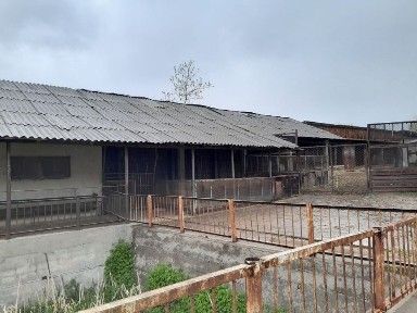 Ferma sotiladi.