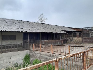 Ferma sotiladi.