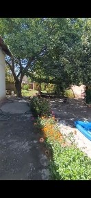 Навоий шахар. Нарпай центрда срочно ховли сотилади барча кулайликларга