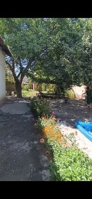 Навоий шахар. Нарпай центрда срочно ховли сотилади барча кулайликларга