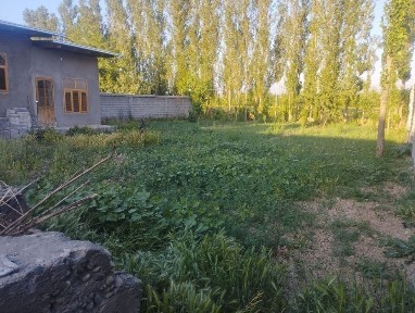 Ташкентская область, Янгибазар