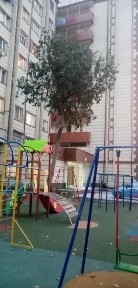 1 ком. Бывшее общ. 17.500у. е