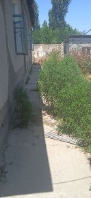 8 sotixli uyi bilan sotiladi