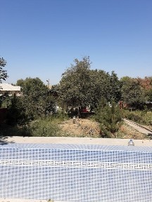 Dacha sotiladi qibray tumani 12sotok